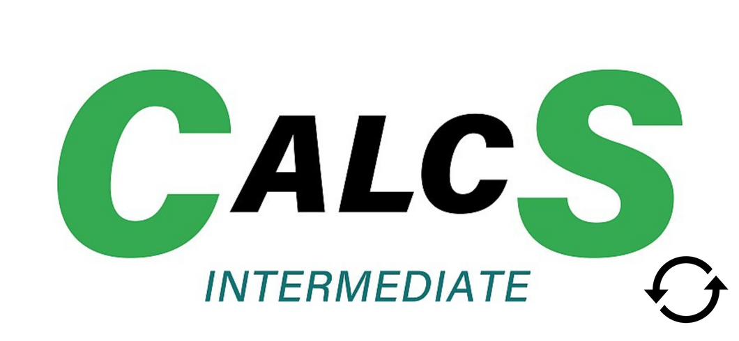 CalcS_intermediate (update 2024)